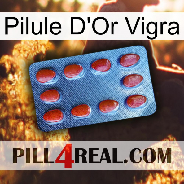 Vigra Gold Pill 06